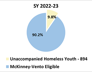 Pie Chart of Unaccompanied Homeless Youth in Idaho in SY2022-23