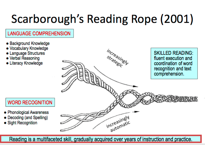 Scarborough's Reading Rope diagram illustrating the relationship between language comprehension and word recognition resulting in skilled reading.