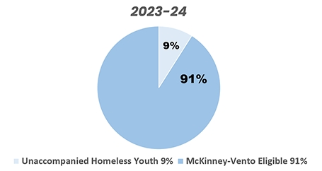 Pie Chart of Unaccompanied Homeless Youth in Idaho in SY2023-24